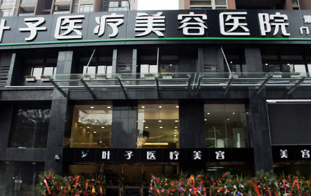 武汉叶子医疗美容医院吸脂减肥整形价格表