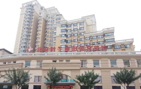 北京叶子美容医院隆鼻整形多少钱