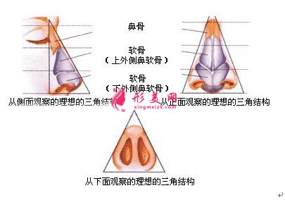鼻尖整形的价格是多少,效果怎么样!