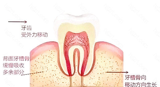 所以很明显就能看出发达城市往往都会比小城市费用高不少 所以很明显就能看出发达城市往往都会比小城市费用高不少