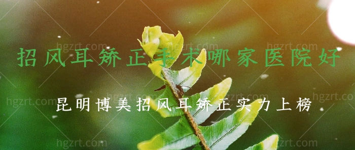 想知道招风耳矫正手术哪家医院好?昆明博美招风耳矫正实力上榜! 想知道招风耳矫正手术哪家医院好?昆明博美招风耳矫正实力上榜!