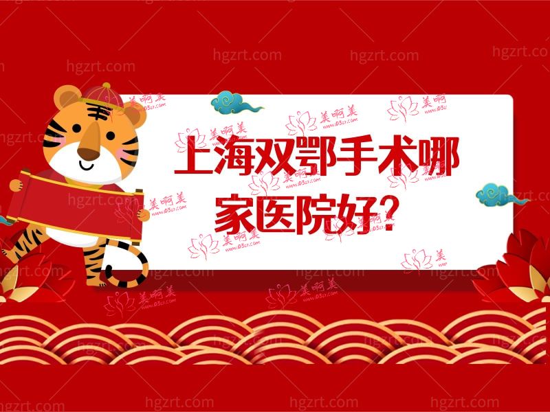 上海双鄂手术哪家医院好 上海双鄂手术哪家医院好