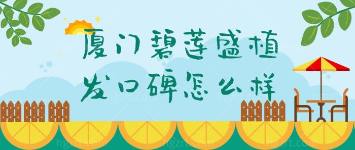 厦门碧莲盛植发口碑怎么样 厦门碧莲盛植发口碑怎么样