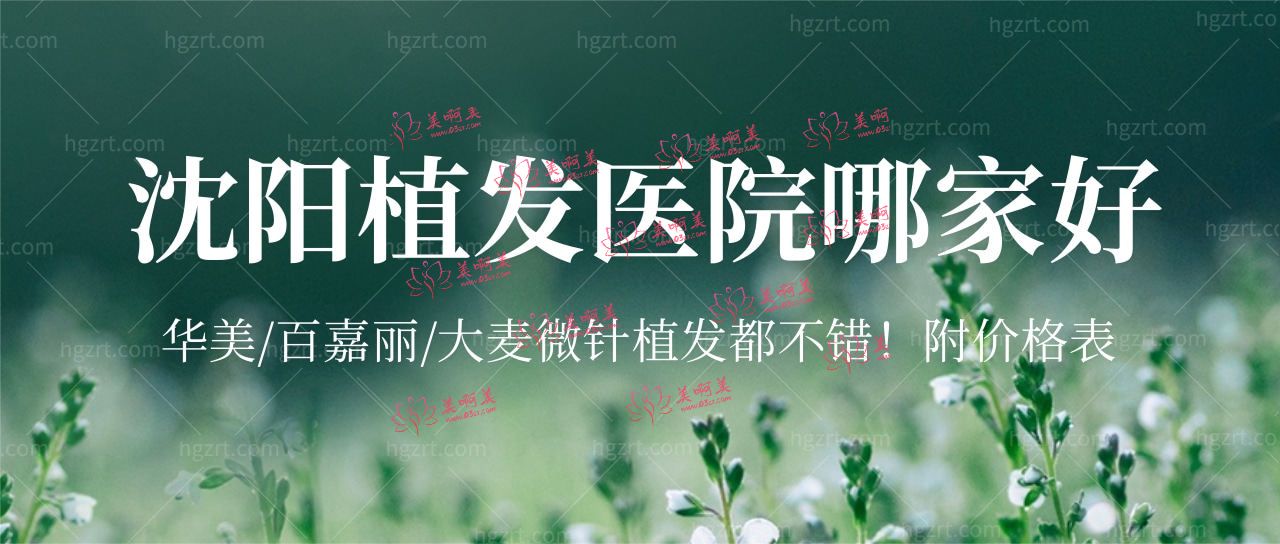 沈阳植发医院哪家好?华美/百嘉丽/大麦微针植发不错!附价格! 沈阳植发医院哪家好?华美/百嘉丽/大麦微针植发不错!附价格!