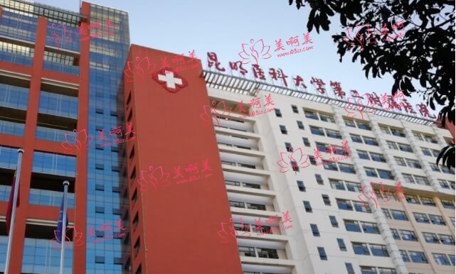 大理整形美容医院top5强力推荐!都是实力强悍的! 大理整形美容医院top5强力推荐!都是实力强悍的!