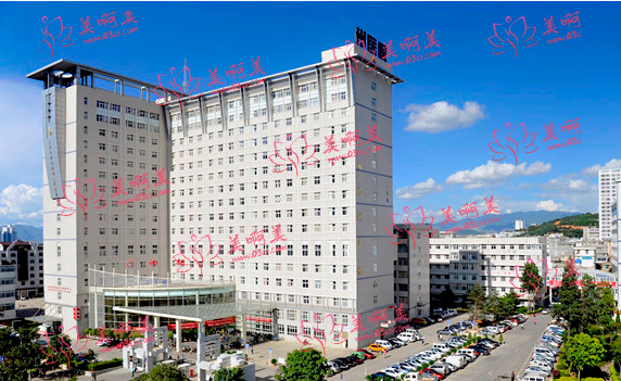 大理整形美容医院top5强力推荐!都是实力强悍的! 大理整形美容医院top5强力推荐!都是实力强悍的!