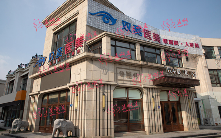 哈尔滨想做玻尿酸填充面颊手术,有什么整形医院推荐吗? 哈尔滨想做玻尿酸填充面颊手术,有什么整形医院推荐吗?