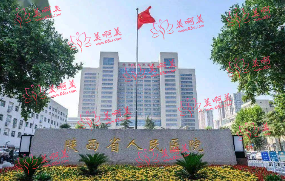 西安胸部整形医生推荐名单：王爱武、舒茂国、秦高平等全是正规公立医院的人气医生！