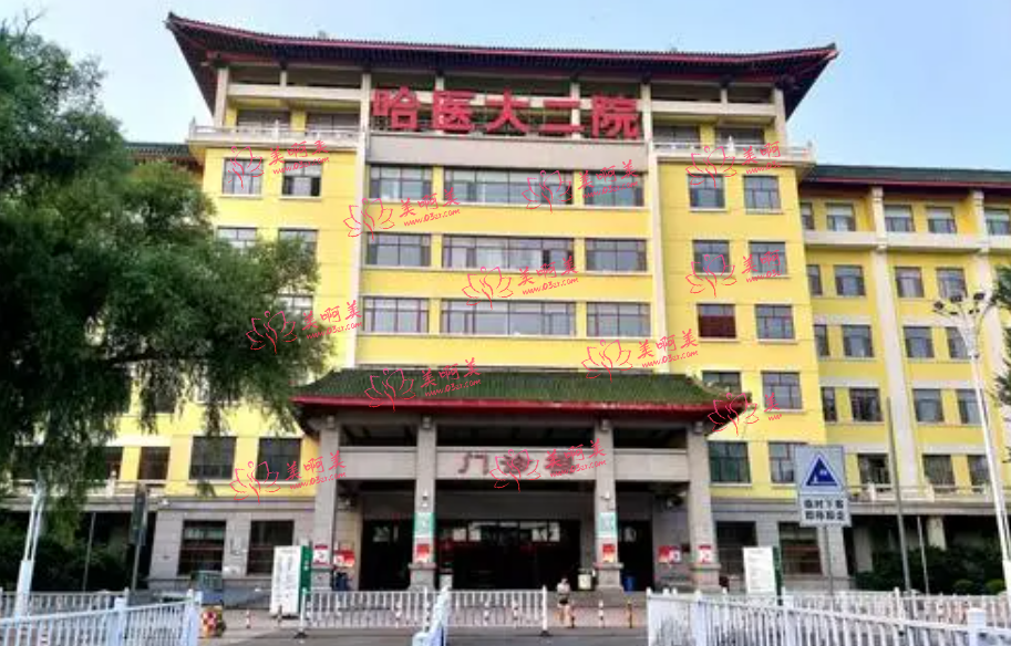 哈尔滨脂肪隆胸整形医院排名揭晓,哈医大一院、二院实至名归! 哈尔滨脂肪隆胸整形医院排名揭晓,哈医大一院、二院实至名归!