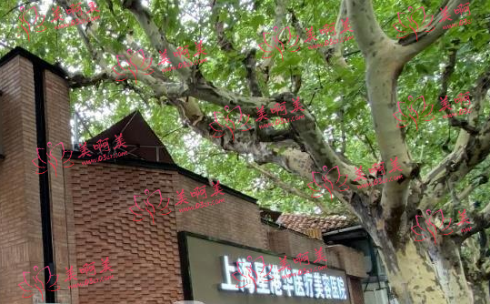 上海医疗美容整形医院排名解析,这几家上榜的医院到底有多靠谱? 上海医疗美容整形医院排名解析,这几家上榜的医院到底有多靠谱?