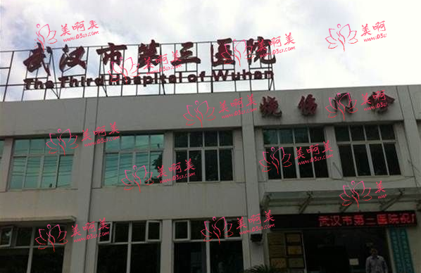 武汉三甲医院私密整形排名解析,看看这几家医院如何脱颖而出! 武汉三甲医院私密整形排名解析,看看这几家医院如何脱颖而出!