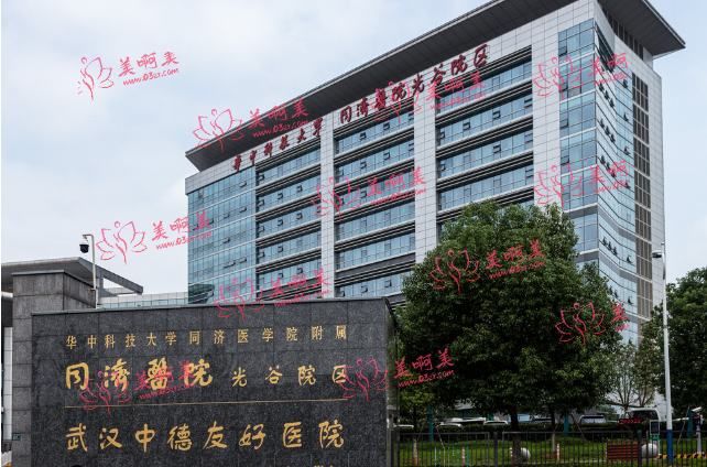 武汉三甲医院私密整形排名解析,看看这几家医院如何脱颖而出! 武汉三甲医院私密整形排名解析,看看这几家医院如何脱颖而出!