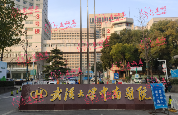 武汉面颊脂肪填充哪些整形医院擅长?艺星、市中心医院、市三院等纷纷上榜! 武汉面颊脂肪填充哪些整形医院擅长?艺星、市中心医院、市三院等纷纷上榜!