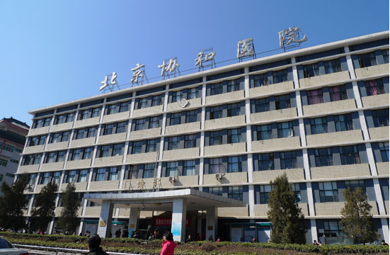 北京做拉皮手术实力在线的医院有：协和、北大三院、中日友好等几家！