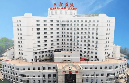 北京公立医院隆胸实力揭秘,专家解读各家上榜医院实力如何! 北京公立医院隆胸实力揭秘,专家解读各家上榜医院实力如何!