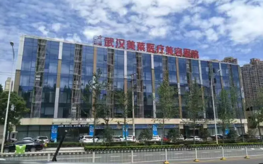 武汉面部提升整形医院排名公布:五洲、华美、美莱等上榜前五! 武汉面部提升整形医院排名公布:五洲、华美、美莱等上榜前五!
