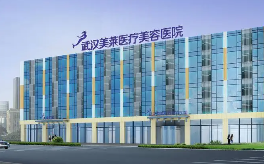 揭秘武汉哪个面部填充医院好?实力超群的武汉排行榜前5名整形医院推荐 揭秘武汉哪个面部填充医院好?实力超群的武汉排行榜前5名整形医院推荐