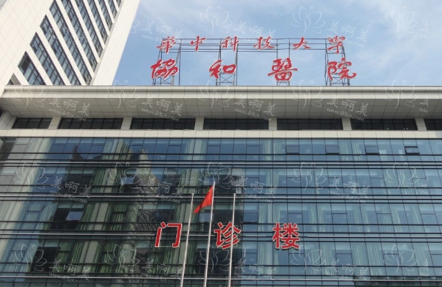 揭秘武汉哪个面部填充医院好?实力超群的武汉排行榜前5名整形医院推荐 揭秘武汉哪个面部填充医院好?实力超群的武汉排行榜前5名整形医院推荐
