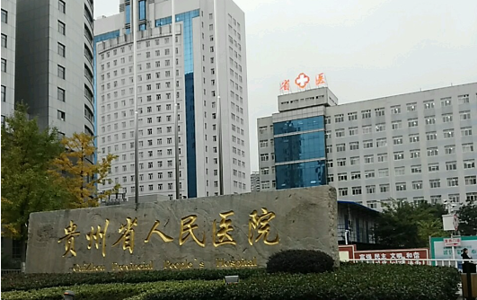 贵阳哪家整形医院人气更高?五家当地高口碑实力医院逐一介绍! 贵阳哪家整形医院人气更高?五家当地高口碑实力医院逐一介绍!