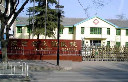 西安整形医院哪家更擅长面部年轻化项目？实力榜单前五曝光！