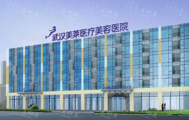 武汉玻尿酸注射技术哪家强?2024当地技术排行榜名单来袭! 武汉玻尿酸注射技术哪家强?2024当地技术排行榜名单来袭!