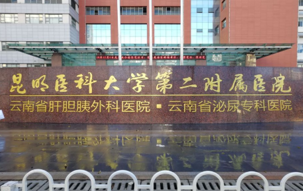 昆明玻尿酸填充技术哪家医院更最靠谱?实力榜单前五家医院解析 昆明玻尿酸填充技术哪家医院更最靠谱?实力榜单前五家医院解析