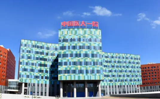 盘点沈阳地区专业的隆鼻医院,下面几家上榜前五! 盘点沈阳地区专业的隆鼻医院,下面几家上榜前五!