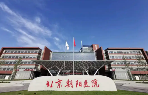 北京朝阳医院整形实力怎么样？专业坐诊医生技术解读！