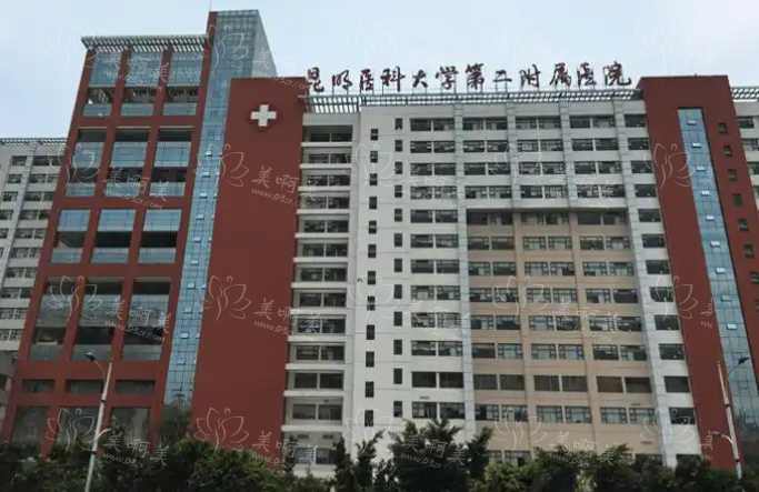 昆明哪家医院脂肪隆胸技术更好？人气医院资料介绍一览！