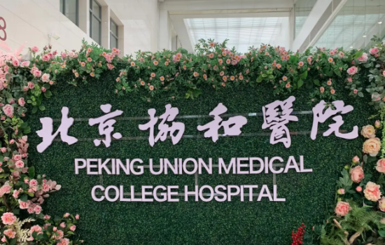 北京哪家医院更值得推荐：这里有五家人气医院简介分享!
