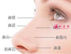 假体隆鼻大概要花多少钱？