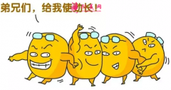 吸脂减肥大概要做多少次？
