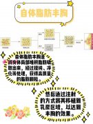 自体脂肪隆胸和假体哪个好？