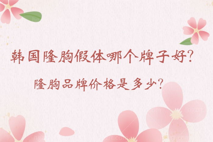 韩国隆胸假体哪个牌子好？隆胸品牌价格是多少？