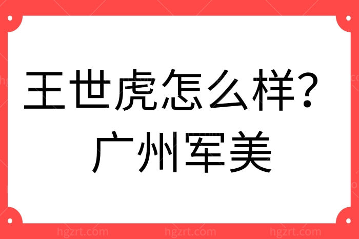 王世虎作为广州军美的技术院长，比较擅长哪些项目呢